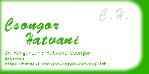 csongor hatvani business card